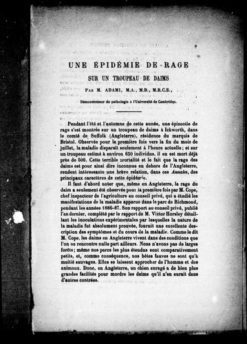 Une épidémie de rage sur un troupeau de daims