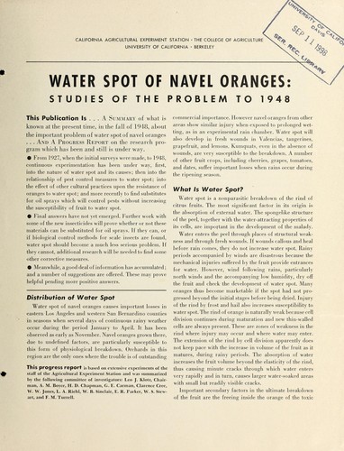 Water spot of navel oranges
