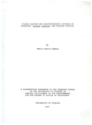 Tissue culture and electrophoretic studies of pineapple (Ananas comosus) and related species