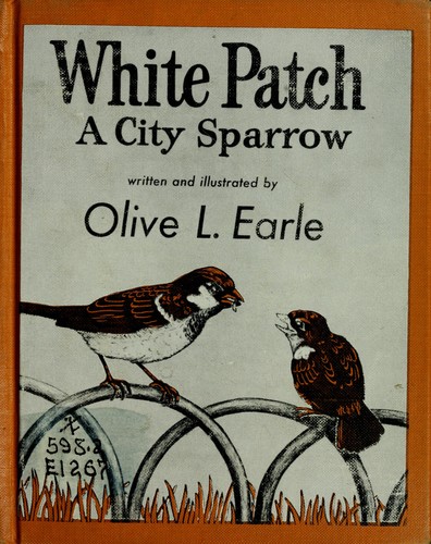 White Patch, a city sparrow