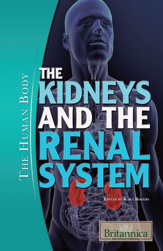 The kidneys and the renal system