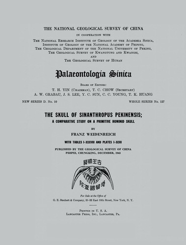 The skull of Sinanthropus pekinensis