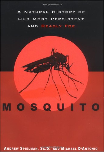 Mosquito