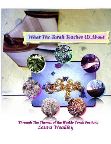 What The Torah Teaches Us About Life