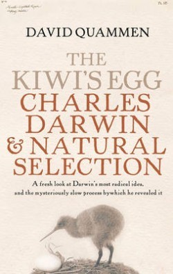 The kiwi's egg