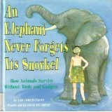 An Elephant Never Forget's Its