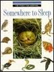 Somewhere to sleep