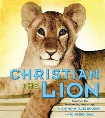 Christian the lion