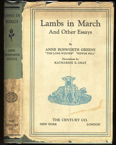 Lambs in March