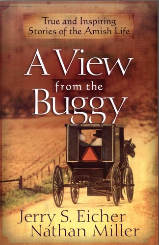 A View from the Buggy