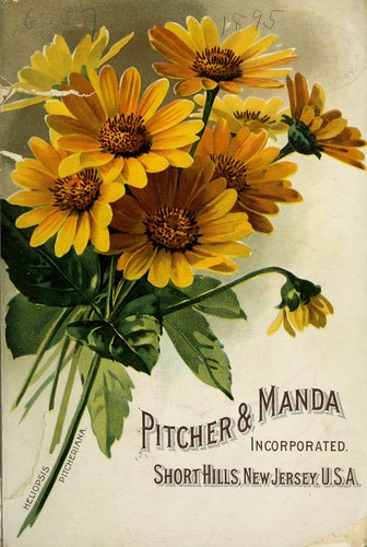 [General illustrated catalogue of plants