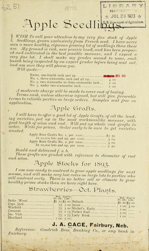 Apple seedlings