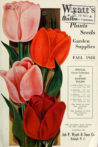 Wyatt's bulbs plants seeds garden supplies