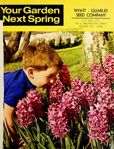 Your garden next spring