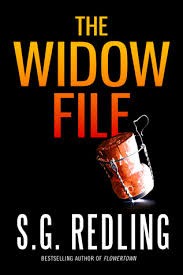 The Widow File (A Dani Britton Thriller)
