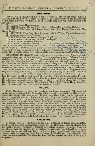 Bulbs for fall 1902