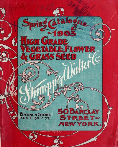 High grade vegetable, flower & grass seeds