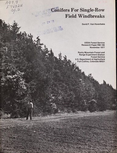 Conifers for single-row field windbreaks