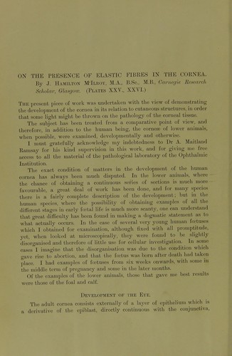 On the presence of elastic fibres in the cornea