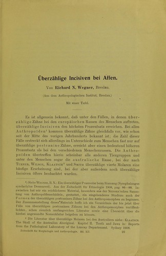 ©berz©Þhlige Incisiven bei Affen