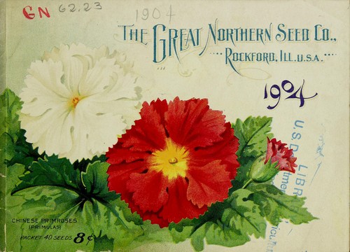 [Catalog of] the Great Northern Seed Co
