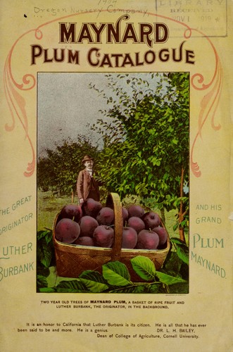 Maynard plum catalogue