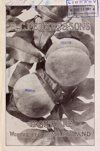 [Catalog]