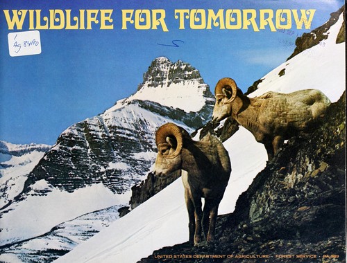 Wildlife for tomorrow