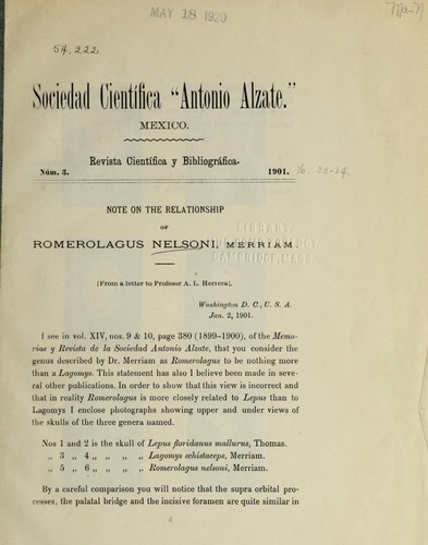 Note on the relationship of Romerolagus nelsoni, Merriam