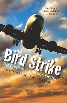 Bird strike