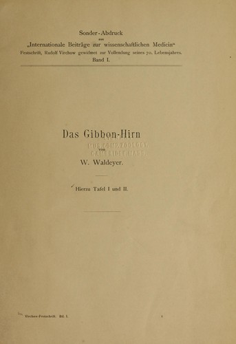 Das Gibbon-Hirn