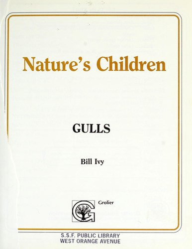 Gulls