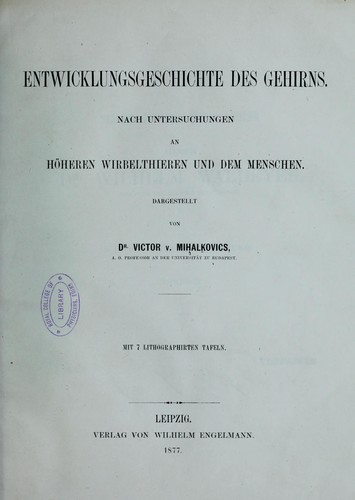 Entwicklungsgeschichte des Gehirns