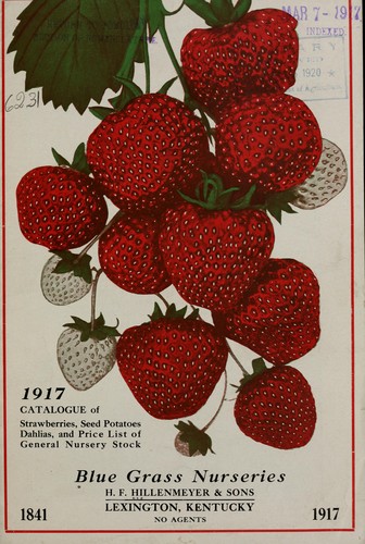 1917 catalogue of strawberries, seed potatoes, dahlias and price list of general stock