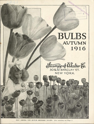Bulbs