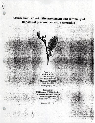 Kleinschmidt Creek fish habitat restoration project