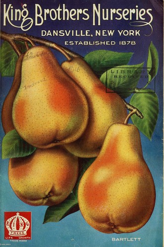 King Brothers Nurseries [catalog]