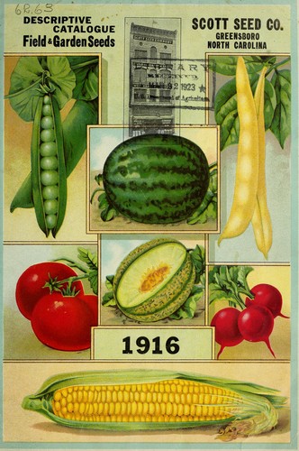 Descriptive catalogue