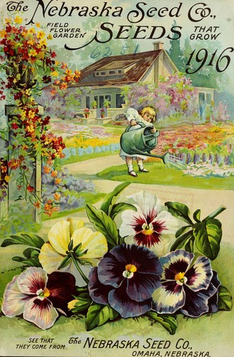Field, flower and garden seeds that grow