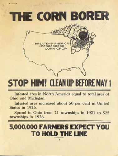 The corn borer threatens America's $2,000,000,000 corn crop
