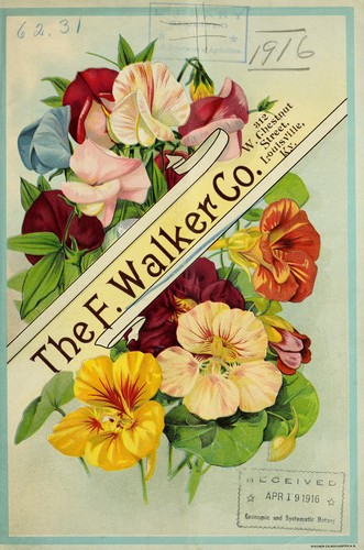 The F. Walker & Co. cut flowers and plants