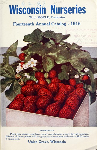 Fourteenth annual catalogue 1916