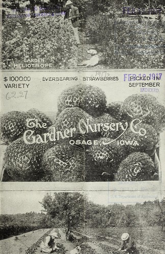 The Gardner Nursery Co. [1917 catalog]