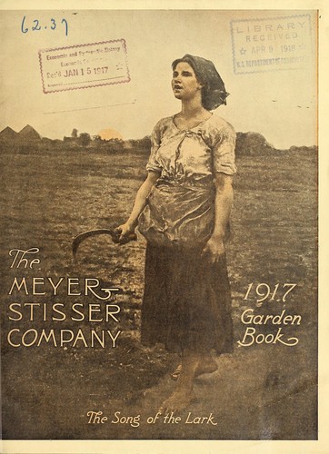 1917 garden book