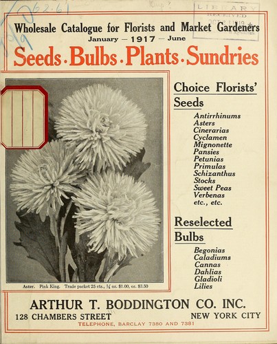 Wholesale catalogue for florists and market gardeners