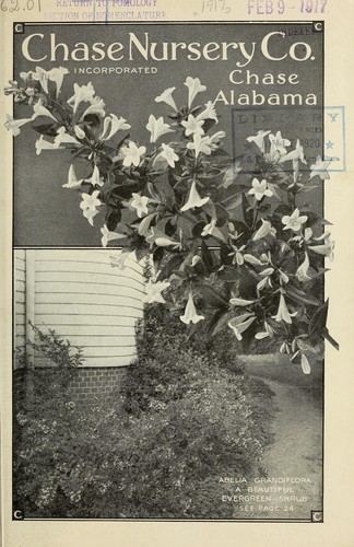 Chase Nursery Company Incorporated [catalog]