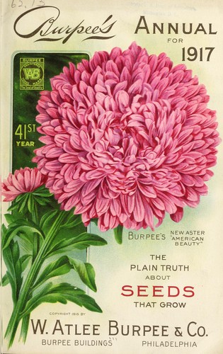 Burpee's annual for 1917