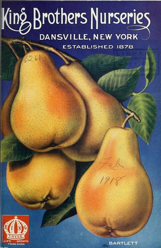 King Brothers Nurseries [catalog]