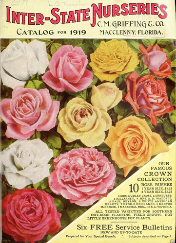 Catalog for 1919