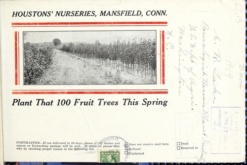 Season of 1919